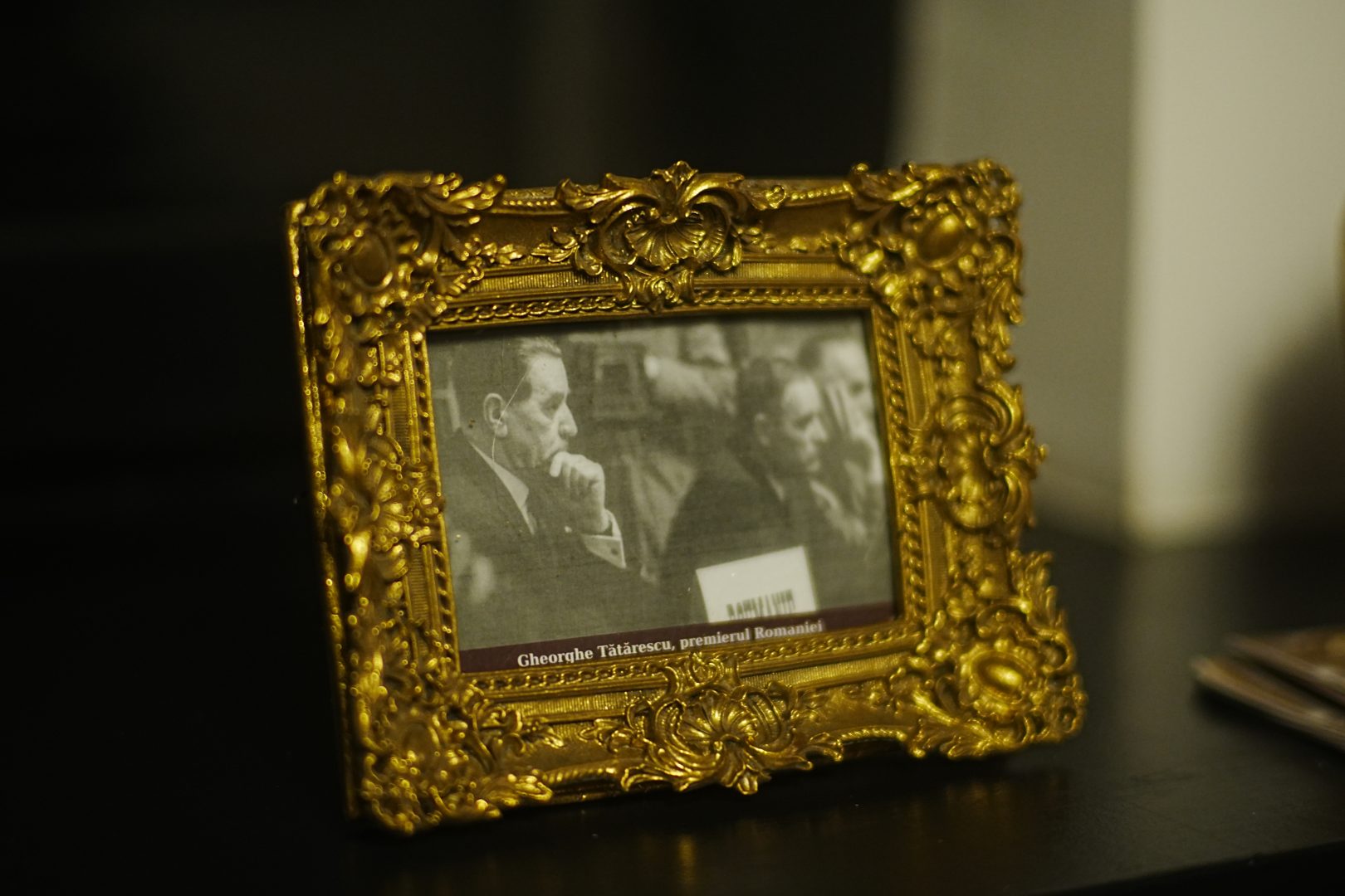 Casa Gheorghe Tătărescu din București: Memoria vie a unei elite politice și renașterea EkoGroup Vila 1 Casa Gheorghe Tătărescu din București: Memoria vie a unei elite politice și renașterea EkoGroup Vila